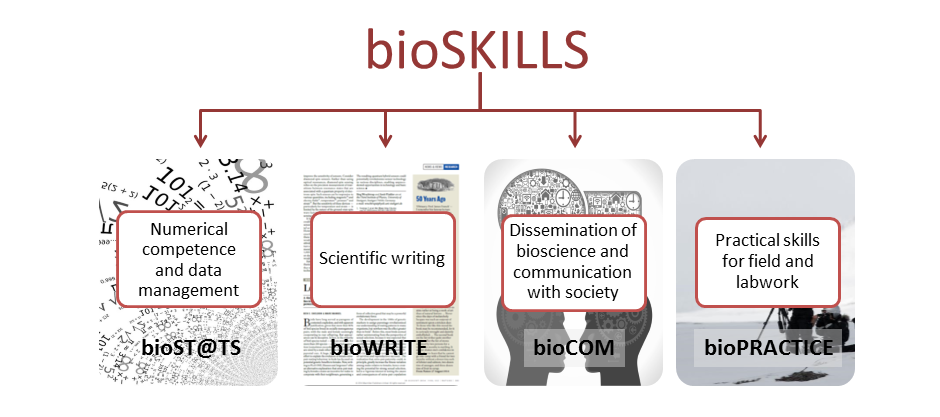 bioskills-cut